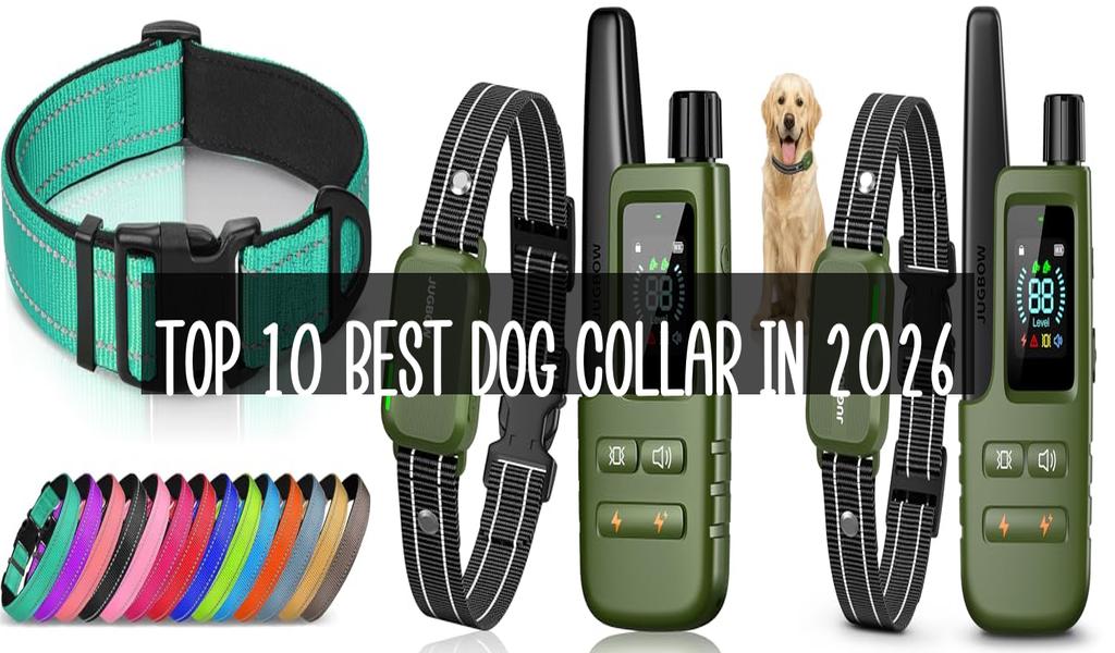 Top 10 Best Dog Collar in 2026